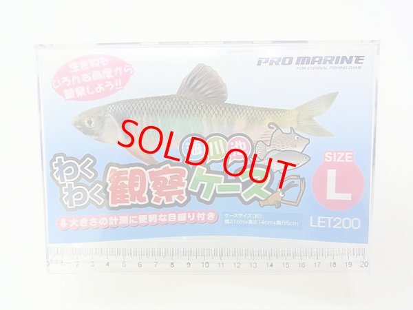 画像1: 開店５周年特価！数量限定！たなご わくわく観察ケース　Ｌ