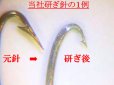 画像2: ポン太工房　タナゴ研ぎ針　がまかつ　流線 (2)