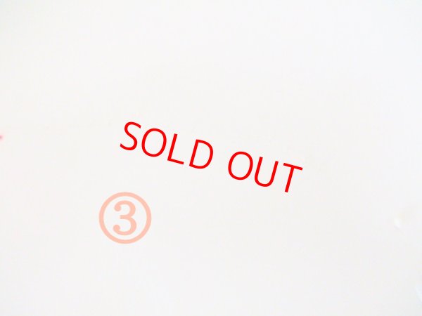 画像4: 童夢新作　水中ウキ逆シモリ仕掛け　ハリス止め　重り付き　ロデウス１