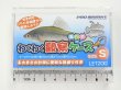画像1: 開店５周年特価品！数量限定！たなご わくわく観察ケース　Ｓ