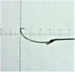 画像1: ポン太工房オリジナル タナゴ針 新半月型　シルクブレード７－０使用