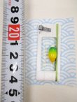画像3: 手作り在来タナゴ釣り用　真ん中通し仕掛け　黄緑ライングラデーション　モノスレッドMオリーブ使用　板重り　ハリス止め付き